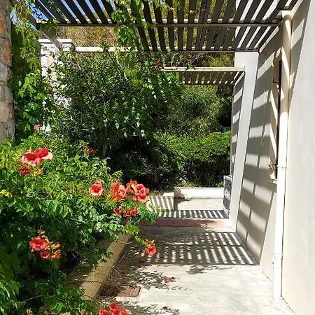 Apartment Doma